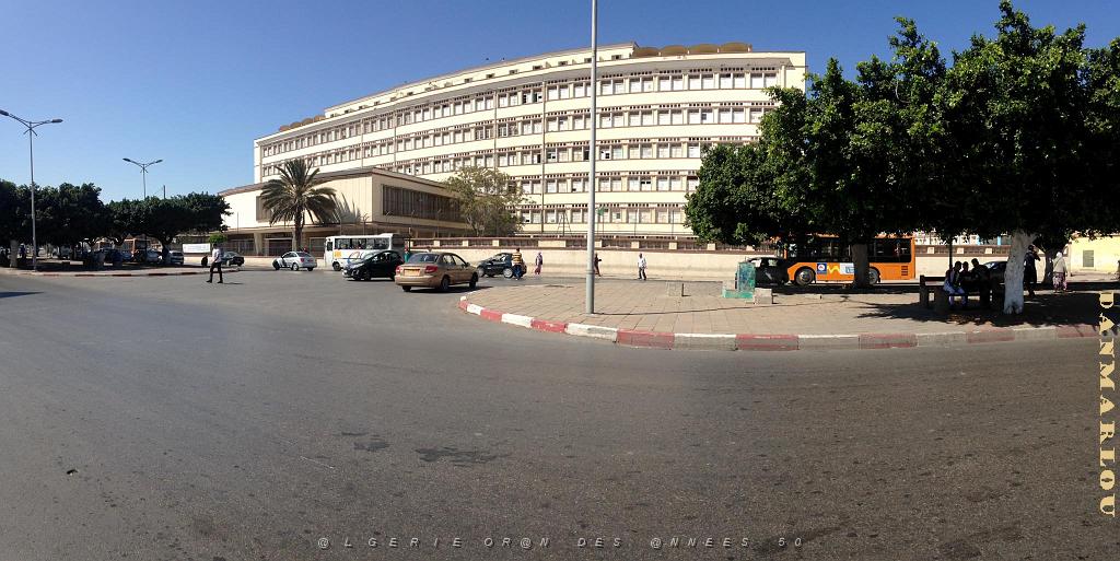 ORAN-Lycee Technique de jeunes filles . Bd des 40m.jpg
